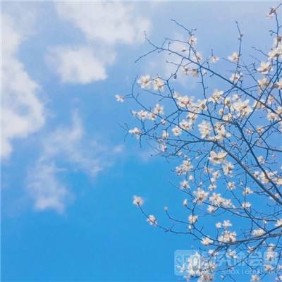 ROR体育app官方下载